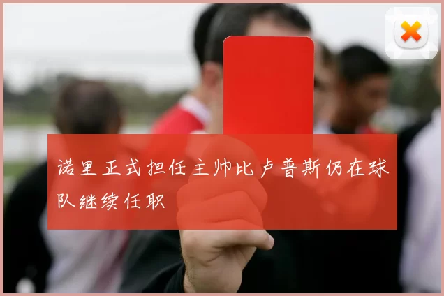 诺里正式担任主帅比卢普斯仍在球队继续任职